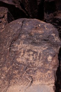 Petroglyffer med dyr og figurer - Petroglyph National Monument - Albuquerque, New Mexico, USA (USA) af William M. Timlin