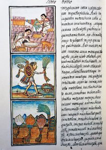 Behandling af fjer, tekst i Nahuati, fra faksimile af manuskript General History of Things of New Spain, også kendt som Florentine Codex, af Bernardino de Sahagun af William M. Timlin