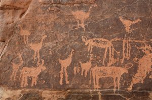 Klippekunst, forhistorie: Detalje af en gravering af et sæt strudse og kvæg i Uweinat-massivet, Egypten (Periode fra 8000 til 3000 år f.Kr.). Fotografering af Unbekannt