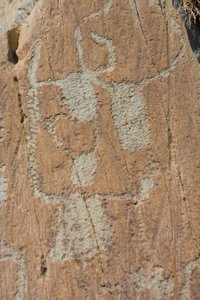 Stengraveringer af Vallee de Fontanalba/Corniformes emboites eller kvæg/Mercantour National Park/Tende/Alpes-Maritimes/Frankrig af Unbekannt
