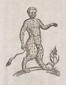Satyrer en anden art af Unbekannt