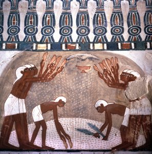 Scene med hvede ødelæggelse, grav af Nakht, rum i graven af adelige. Vallee des Nobles. Hjemmeside for Luxor, Egypten.