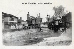 Serbien, Florina (nuværende Grækenland): udsigt over Sukulina - Postkort 1914-1918 af William M. Timlin