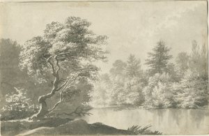 Shenstone - Pool nær Little Aston: sepia vask tegning, nd [19. århundrede] af Unbekannt