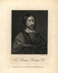 Sir Thomas Brown, engelsk universalgeni og forfatter inden for videnskab, medicin, religion og esoterik, død 1682. Kobberstik fra William Richards Portraits Illustrating Granger