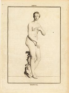 Statue af Venus, romersk gudinde for kærlighed, skønhed, sex og frugtbarhed af Unbekannt