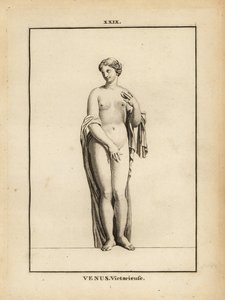 Statue af Venus Victrix, romersk gudinde for kærlighed, skønhed, sex og frugtbarhed af Unbekannt