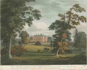 Teddesley Hall: farvet akvatintegravering, nd [c 1825] af Unbekannt
