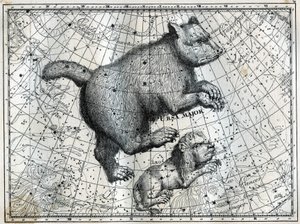 De boreale konstellationer: den store bjørn og den lille løve. Indgravering fra Camille Flammarions "The Stars and Other Curiosities of the Sky" af Unbekannt