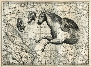 Stjernebilledet Pegase, tegner som den forreste halvdel af en hest med et par vinger, den lille hest, et hestehoved og delfinen. Gravering fra "Les étoiles et les autres curiosites du ciel" af Camille Flammarion af Unbekannt