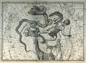De nærliggende stjernebilleder på Nordpolen: Lille Bjørn, Drage, Cephee, Giraf, Rensdyr og Messier. Indgravering fra Camille Flammarions "The Stars and Other Curiosities of the Sky" af Unbekannt