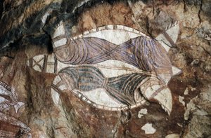 Skildpadde, klippemaleri, Arnhem Land, Northern Territory, Australien, Aboriginal kultur