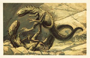 To kæmpende Dryptosaurus aquilunguis.1908 (litografi) af Unbekannter Künstler