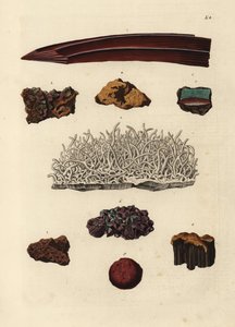 Varianter af jernmalm. Håndkoloreret kobberstik af efter en illustration af fra Georg Wolfgang Knorr