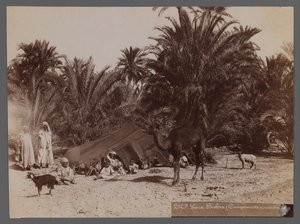 Udsigt fra et sted i Nordafrika- Nomad Camp (albumin fotografisk print) af Unbekannt