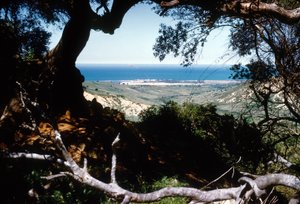 Udsigt over Middelhavet, Kabylien, Algeriet af Unbekannter Künstler