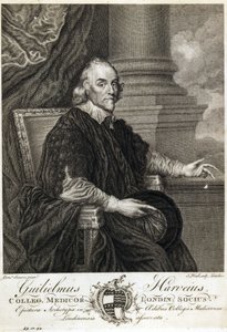 William Harvey, engelsk læge af Unbekannt
