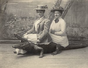 Kvinder sidder på en udstoppet alligator, ca. 1905 (s/h-billede) af Unbekannter Künstler