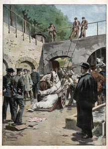 Zoo du Jardin des Plantes. Zoo i Jardin des Plantes. af Nicolas Liez