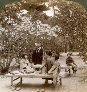 En familie, der nyder en picnic under kirsebærblomsterne, Omuro Gosho, Kyoto, Japan, 1904. af Underwood and Underwood