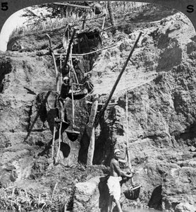 En egyptisk shaduf, der løfter Nilen til de tørstige marker, Egypten, 1905.
