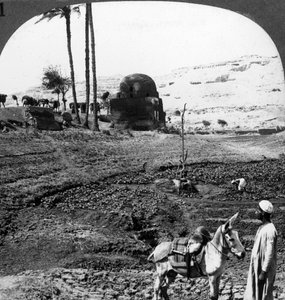 Cliff grave of Lords of Assiut, Egypten, 1905. af Underwood and Underwood