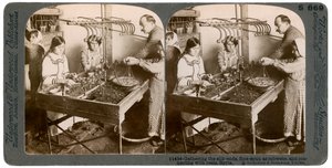 Fremstilling af silke, Syrien, 1900-tallet. af Underwood and Underwood