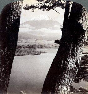 Mount Fuji, set fra nordvest, gennem fyrretræer ved Lake Motosu, Japan, 1904 af Underwood and Underwood