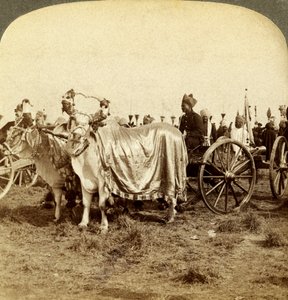 Sølvkanon fra Maharajaen af Baroda, Delhi, Indien. af Underwood and Underwood