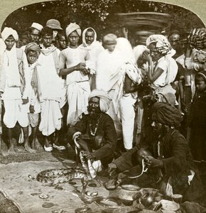 Slangetæmmer, Calcutta, Indien, omkring 1900-tallet. af Underwood and Underwood