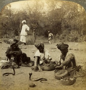 Slangetæmmere, Delhi, Indien. af Underwood and Underwood