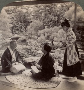 Haverne i hjemmet til hr. Y Namikawa, leder i kunstindustrien, Kyoto, Japan, 1904 af Underwood and Underwood