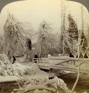 Vinterscene, Luna Island, Niagara Falls, New York, USA. af Underwood and Underwood