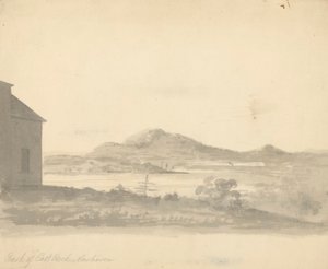 Bagsiden af East Rock, New Haven af Unknown