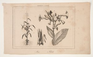 Uden titel (Study of American Agriculture) af Unknown