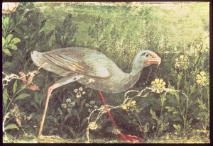 Vægmaleri af en sultankylling i en have, Pompeji, 1. århundrede e.Kr af Unknown