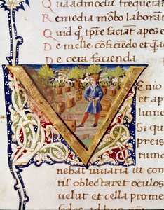 En biavler og hans bistader (miniature af Unknown artist