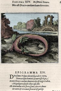 En drage, der slår sin hale (eller Ouroburo (?)). Plade taget fra alkymiens vandring ""Atalanta fugiens dette er det nye emblem på naturens kemiske hemmeligheder"" af Michel Maier (1568-1622) af Unknown artist