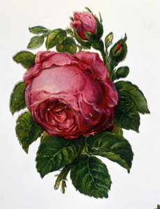 Opstod af Unknown artist
