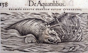 En hval ødelægger en båds skrog og får den til at synke. Gravering n Historia Animalium af Conrad Gesner (1516 - 1565), Tiguri af Unknown artist