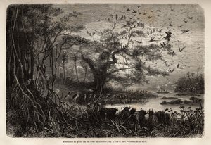Overflod af vildt på bredden af Zambese. Indgravering til illustration af Dr. Livingstones første rejser til det sydlige Afrika fra 1840 til 1856, i "Le tour du monde, nouveau journal des voyages"" udgivet under ledelse af Edouard Charton af Unknown artist