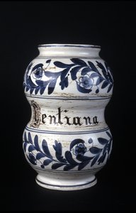Albarelle: tidligere apoteksvase fra det 16. århundrede indeholdende ensian. Museum for Videnskab og Teknologi, Milano. af Unknown artist
