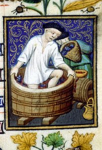 Allegorisk fremstilling af september. Høst, druestripning. Miniature af et manuskript fra det 14. århundrede. af Unknown artist