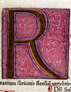 Alfabet: lille bogstav R af Unknown artist