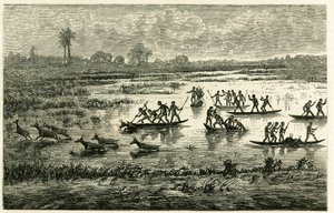Antilopejagt, årlig jagt under træk, antiloper bremset i flodvandet bliver slagtet af Marutse krigere, som forfølger dem i balance på kanoer. Gravering til illustration af historien "Au pays des Marutses", i 1875-1879, af Dr. Emile Hol af Unknown artist