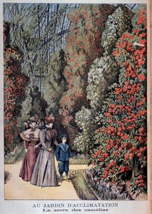 I akklimatiseringshaven: kameliadrivhuset - i "" Le Petite Journal"" af Unknown artist