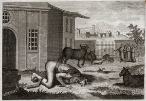 Bible of Royaumont, Det Gamle Testamente: Nebukadnezzar skifter til bete. Kong Nebukadnezar II bliver ved en retfærdig straf for sin stolthed ændret til bete. Illustration fra 1811. af Unknown artist