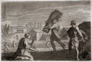 Bible of Royaumont, Det Gamle Testamente: Ruth følger sin svigermor Noemi (Naomi, Noemie) i Judas land og høster Boaz
