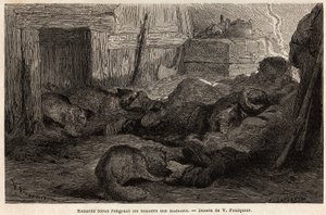 Blå ræve gnaver sko af sømænd i søvn i tilflugtsstedet på observationsstationen, tegning af V.Foulquier, for at illustrere Spitzberg af Unknown artist