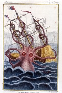 Kolossal blæksprutte (blæksprutte, kæmpe blæksprutte, kraken) angriber et skib (skib, skib) - indgravering af bogen af Pierre Denys-Montfort (Denys de Montfort 1766-1820) "" Histoire naturelle des mollusques", originaludgave af 1802) - af Unknown artist